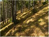 Planica (Planinšek) - Planina Podvežak